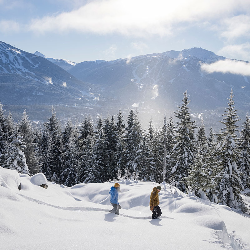 Destination: Whistler