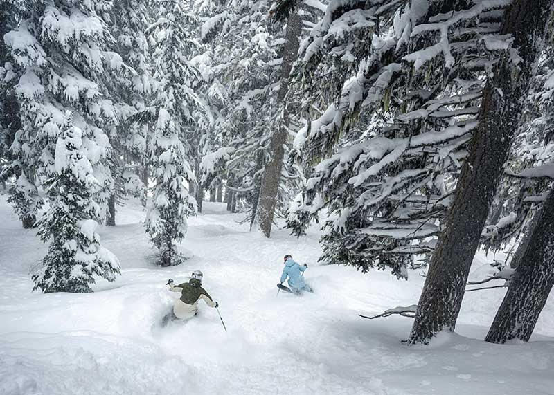 Powder Skiing in Whistler, British Columbia