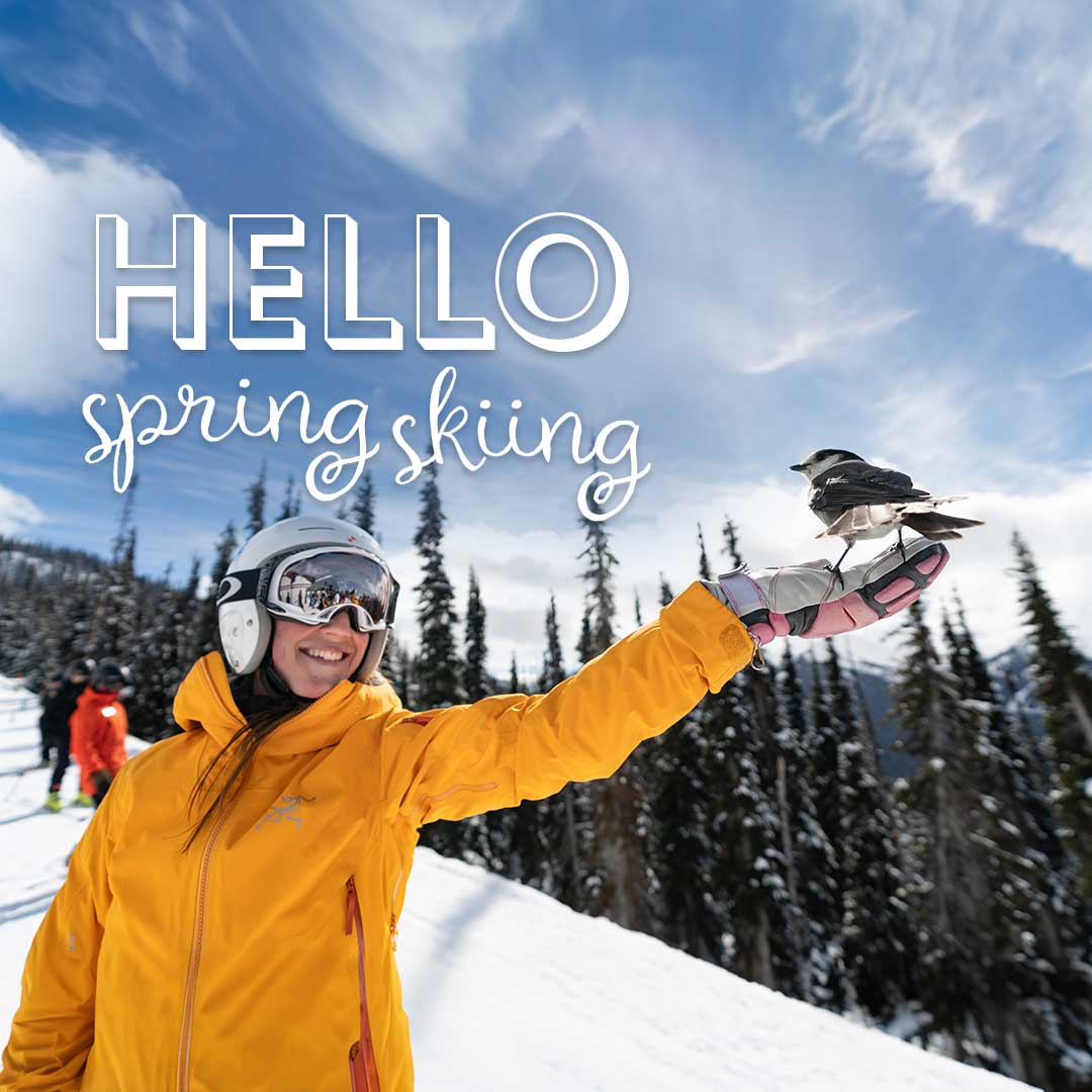 Hello Spring!